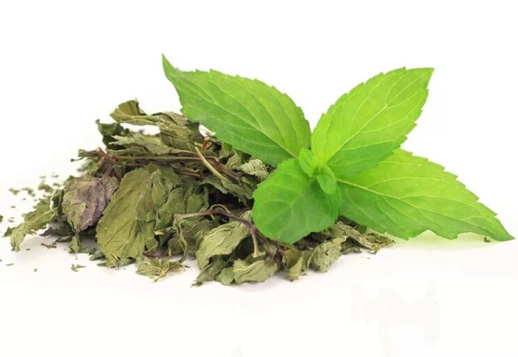 Zaļā tēja abslimā